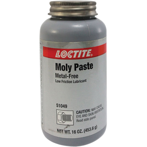 P&acirc;te en moly, 518 g, 750°F (400°C) temp&eacute;rature efficace max. FMT Sales Ltd