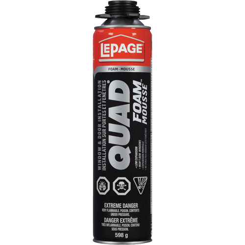 Quad&reg; Foam Window & Door Installation Foam, Aerosol Can, Tan FMT Sales Ltd