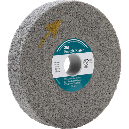 Meule d'&eacute;barbage EXL Scotch-Brite, 8" x 1", Arbre de 3" FMT Sales Ltd