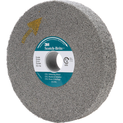 Meule d'&eacute;barbage EXL Scotch-Brite, 8" x 1", Arbre de 3" FMT Sales Ltd