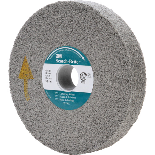 Meule d'&eacute;barbage EXL Scotch-Brite, 6" x 1", Arbre de 1" FMT Sales Ltd
