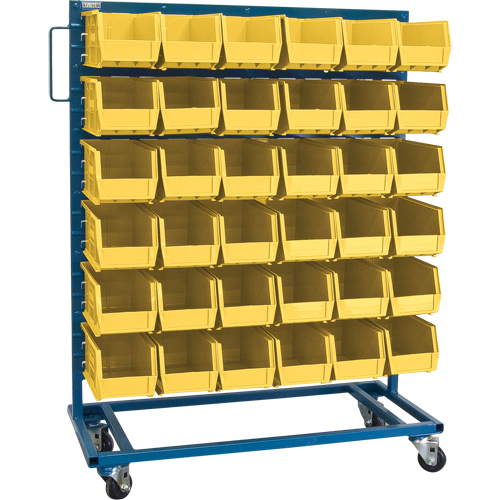 Single-Sided Mobile Bin Rack, Single-sided, 36 bins, 36" W x 16" D x 46-1/2" H FMT Sales Ltd
