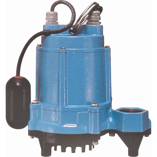 Pompes de puisard/pour effluents pour temp&eacute;ratures &eacute;lev&eacute;es, 50 gal./h, 115 V, 10,1 A, 1/3 CV FMT Sales Ltd