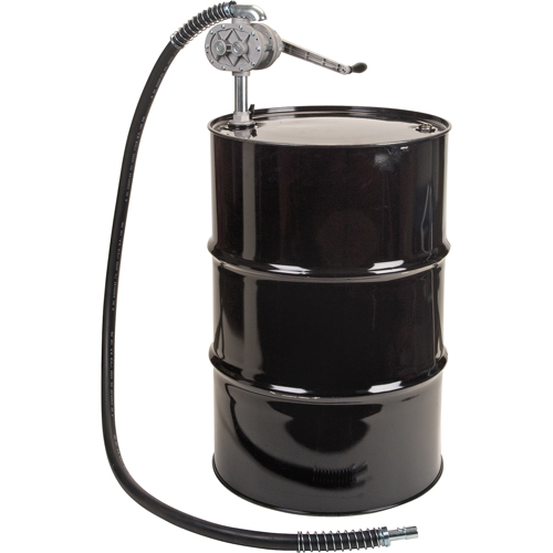 Pompe rotative &agrave; galets, Aluminium/Acier, Pour capacit&eacute; 55 gal., 1 litre par r&eacute;volution FMT Sales Ltd