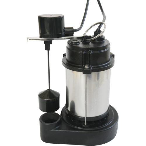 Pompe &agrave; boîtier en acier inoxydable et base en fonte, 1/3 CV, D&eacute;bit 3630 gal./h FMT Sales Ltd