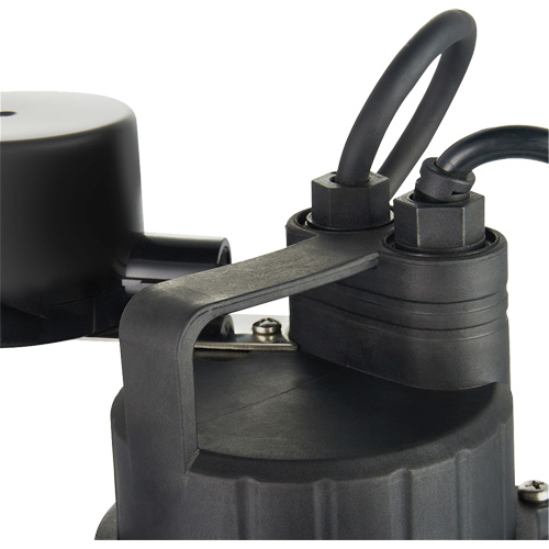 Thermoplastic Submersible Sump Pump, 2560 GPH, 115 V, 4.6 A, 1/3 HP FMT Sales Ltd