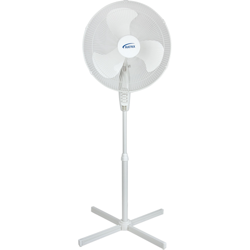 Ventilateur oscillant sur socle, Commercial, 3 Vitesses, Diam&egrave;tre de 18" FMT Sales Ltd