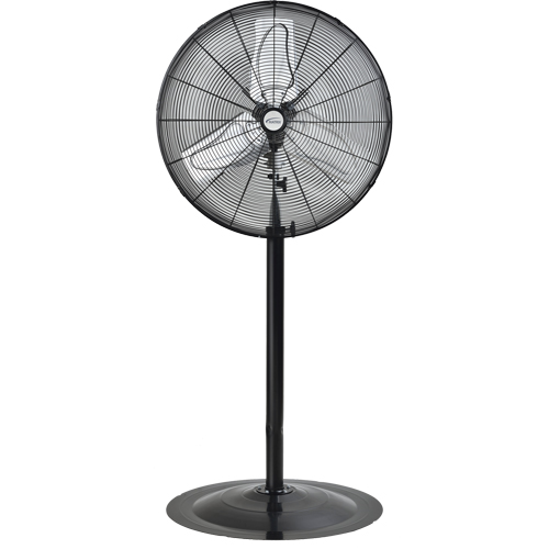 Oscillating Pedestal Fan, Heavy-Duty, 2 Speed, 24" Diameter FMT Sales Ltd