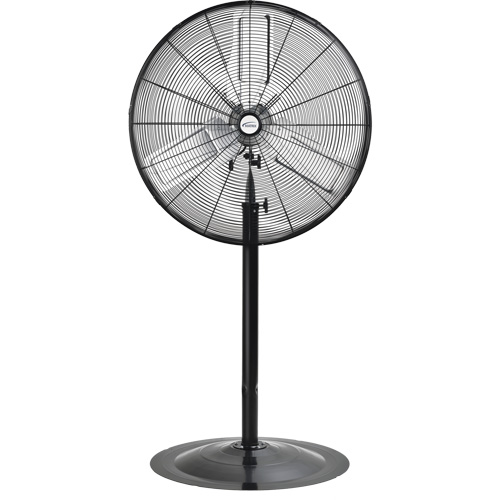 Ventilateur non oscillant sur socle, Robuste, 2 Vitesses, Diam&egrave;tre de 30" FMT Sales Ltd