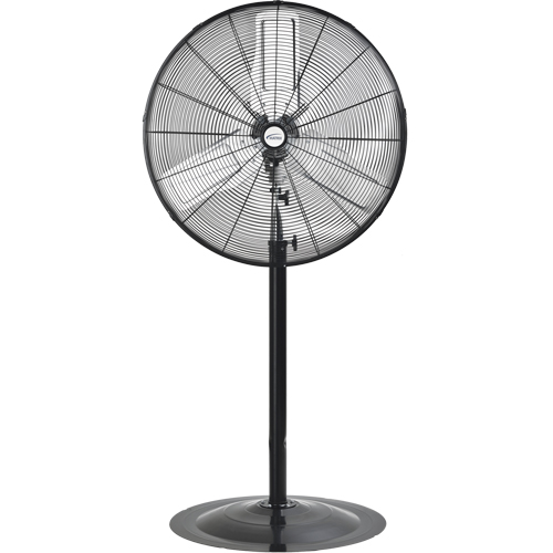 Oscillating Pedestal Fan, Heavy-Duty, 2 Speed, 30" Diameter FMT Sales Ltd