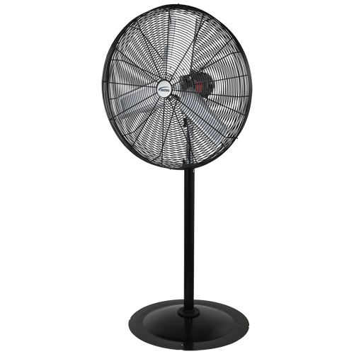 Oscillating Pedestal Fan, Heavy-Duty, 3 Speed, 30" Diameter FMT Sales Ltd