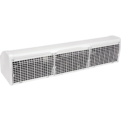 Rideau d'air avec t&eacute;l&eacute;commande, 2 vitesses FMT Sales Ltd