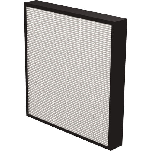 V&eacute;ritables filtres HEPA AeraMax Pro AM3 & AM4 2", Boîte, 13,75" la x 2,25" p x 14,38" h FMT Sales Ltd