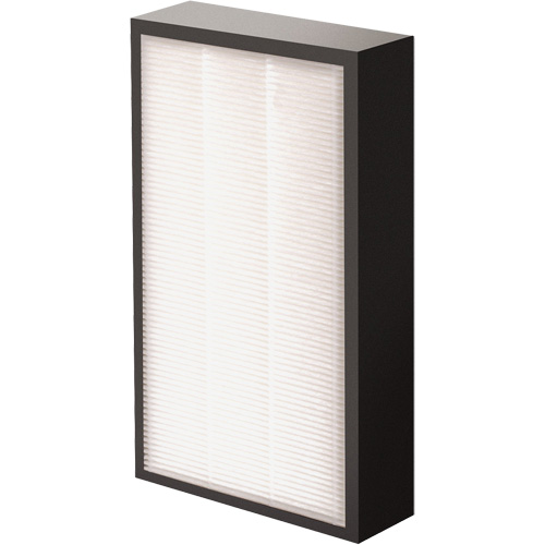 V&eacute;ritables filtre HEPA AeraMax Pro AM2 1-3/4", Boîte, 7,38" la x 1,88" p x 12,88" h FMT Sales Ltd