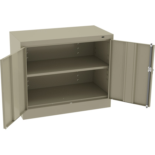 Standard Desk-High Cabinet, Steel, 30" H x 36" W x 18" D, Beige FMT Sales Ltd