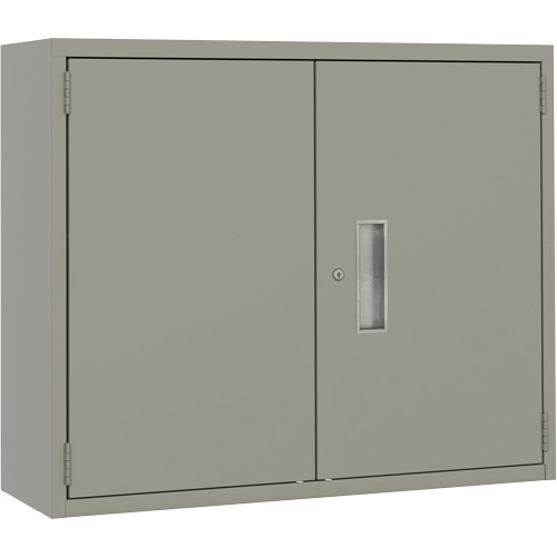 Armoire murale, Acier, 2 Tablettes, 30" h x 36" la x 12" P, Gris FMT Sales Ltd