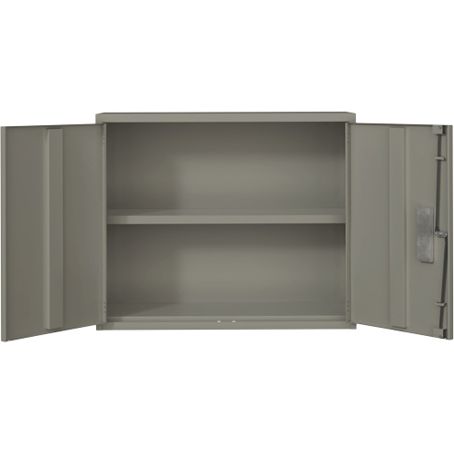 Armoire murale, Acier, 2 Tablettes, 30" h x 36" la x 12" P, Gris FMT Sales Ltd