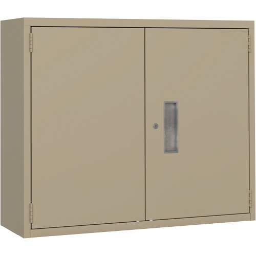 Armoire murale, Acier, 2 Tablettes, 30" h x 36" la x 12" P, Beige FMT Sales Ltd