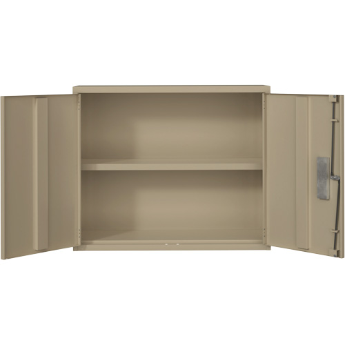 Armoire murale, Acier, 2 Tablettes, 30" h x 36" la x 12" P, Beige FMT Sales Ltd