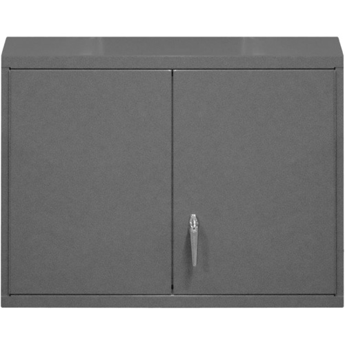 Wall-Mounted Cabinet, 27" H x 29-7/8" W x 13-11/16" D, 2 Shelves, Steel, Grey FMT Sales Ltd