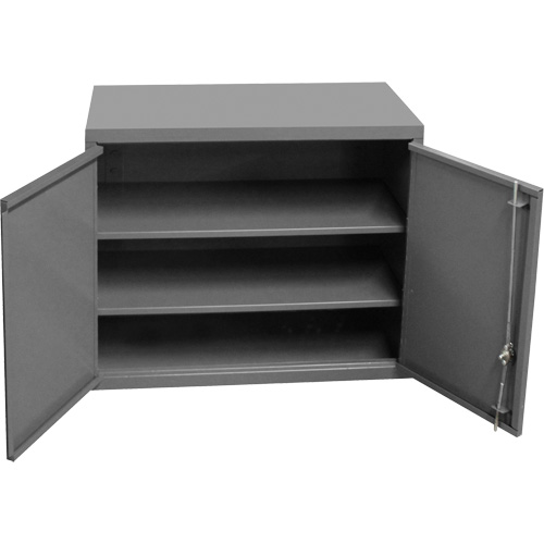 Wall-Mounted Cabinet, 27" H x 13-11/16" W x 35-7/8" D, 2 Shelves, Steel, Grey FMT Sales Ltd