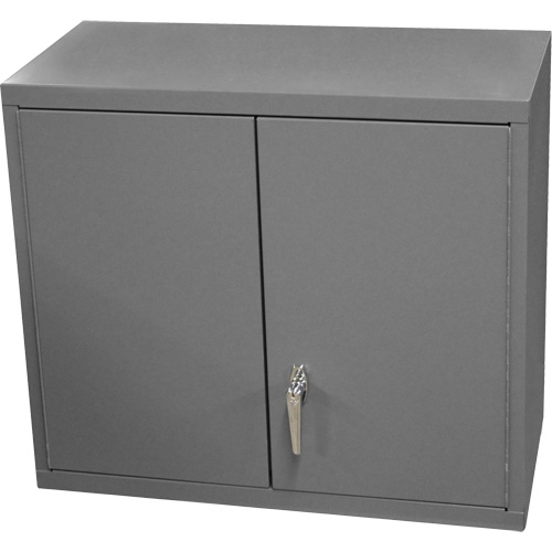 Wall-Mounted Cabinet, 27" H x 13-11/16" W x 35-7/8" D, 2 Shelves, Steel, Grey FMT Sales Ltd