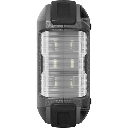 D&eacute;marreur d'appoint, survolteur, banque d'alimentation et lampe de poche JumpSurge1500 FMT Sales Ltd