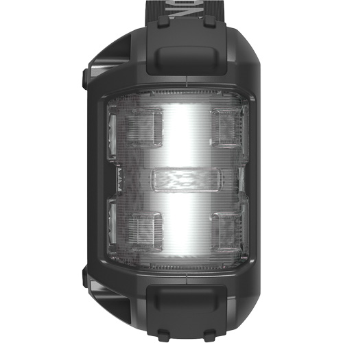 Survolteur, banque d'alimentation et lampe de poche JumpSurge3000 FMT Sales Ltd