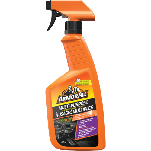 Multi-Purpose Auto Cleaner, 16 oz./473 ml, Trigger Bottle FMT Sales Ltd
