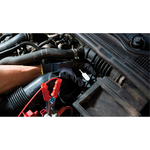 Tall Frame Brake-Pro Pressure Brake Bleeder with Adapters FMT Sales Ltd