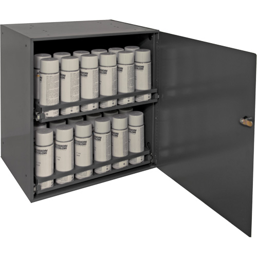 Aerosol Storage Cabinet, Steel, 21-7/8" H x 15-15/16" W x 20-5/16" D, Grey FMT Sales Ltd