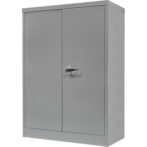 Armoire de rangement &agrave; hauteur de comptoir, Acier, 2 Tablettes, 42" h x 30" la x 15" P, Gris FMT Sales Ltd
