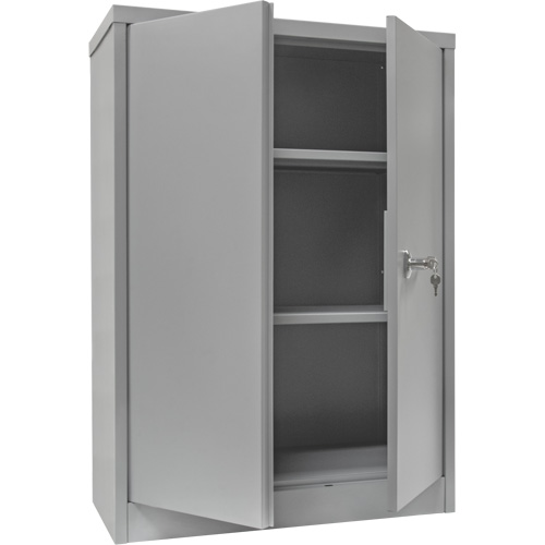 Armoire de rangement &agrave; hauteur de comptoir, Acier, 2 Tablettes, 42" h x 30" la x 15" P, Gris FMT Sales Ltd