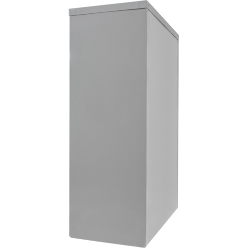 Armoire de rangement &agrave; hauteur de comptoir, Acier, 2 Tablettes, 42" h x 30" la x 15" P, Gris FMT Sales Ltd