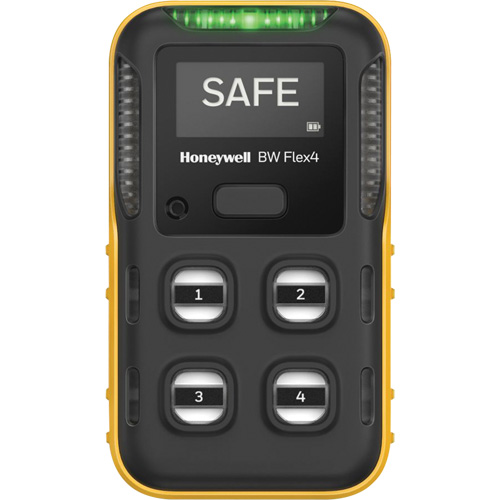BW Flex Gas Detector, 4 Gas, LEL - CO - H2S -O2 FMT Sales Ltd