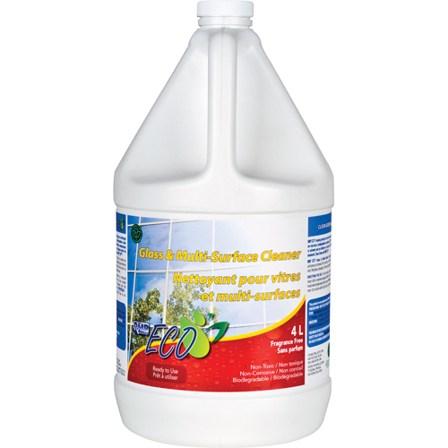 Glass & Multi-Surface Cleaners, 4 L, Jug FMT Sales Ltd
