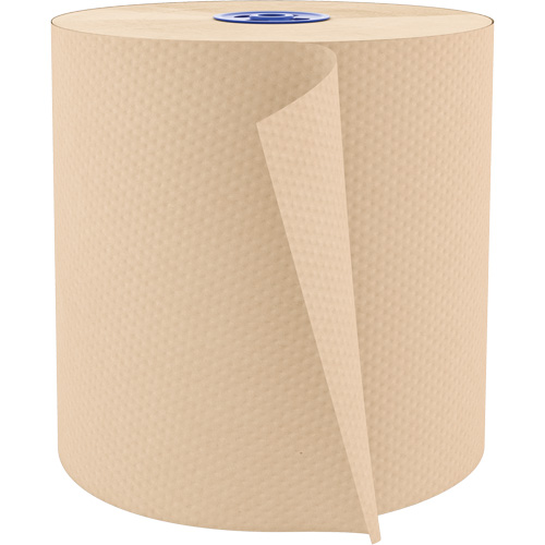 Pro Perform Roll Hand Towels, 1 Ply, Standard, 775' L FMT Sales Ltd