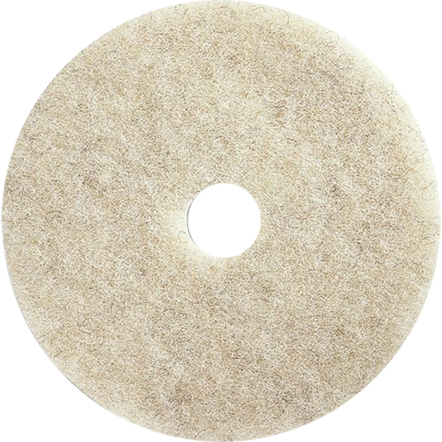 Tampons pour l'entretien des planchers, 21", Brunissage, Brun FMT Sales Ltd