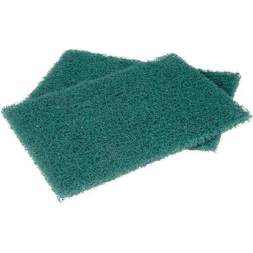 Tampons manuels Scotch-Brite, &agrave; r&eacute;curer, 6" la x 9" l FMT Sales Ltd