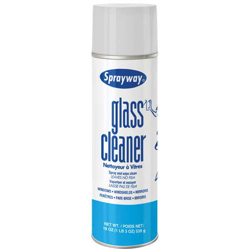 Glass Cleaner, 20 oz., Aerosol Can FMT Sales Ltd