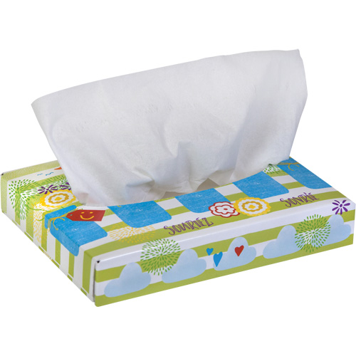 Papiers-mouchoirs pour enfants de Kleenex, 2 pli, 8,4" lo x 5,5" la, 40 feuilles/boîte FMT Sales Ltd