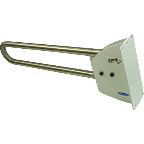 Swing-Up Safety Rail FMT Sales Ltd