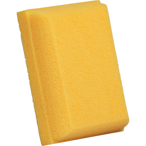 &eacute;ponge &agrave; coulis, Coulis, 5" la x 7" l FMT Sales Ltd