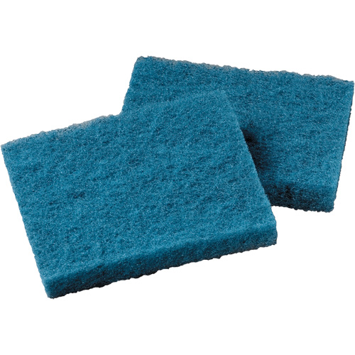 Tampon nettoyant pour batterie de cuisine antiadh&eacute;sive, &agrave; r&eacute;curer, 5-1/4" la x 4" l FMT Sales Ltd