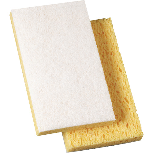 Scotch-Brite Light Duty Scrub Sponge, 3-3/5" L x 6" W FMT Sales Ltd