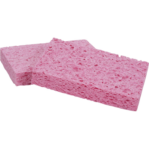 &eacute;ponge Scotch-Brite, Cellulose/Coulis/&agrave; r&eacute;curer, 3-2/3" la x 6" l FMT Sales Ltd