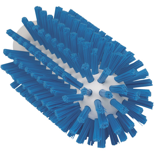 Brosse de 2,5", Soies Ferme, Longueur de 5-3/5", Bleu FMT Sales Ltd