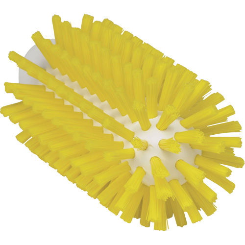 Brosse de 2,5", Soies Ferme, Longueur de 5-3/5", Jaune FMT Sales Ltd