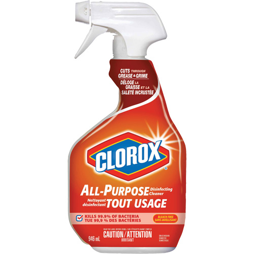 All-Purpose Disinfecting Cleaner Spray, 946 ml, Trigger Bottle FMT Sales Ltd
