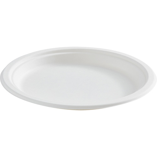 Round Fibre Compostable Plate FMT Sales Ltd